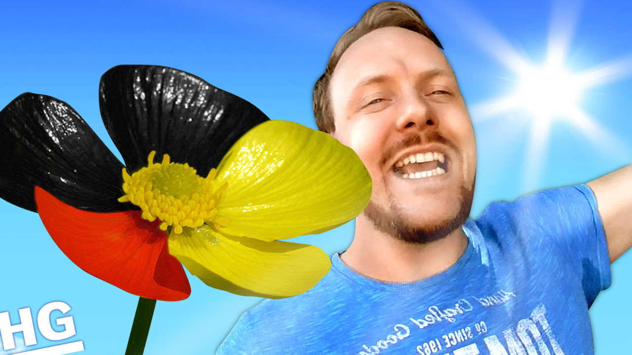 HOFFNUNG – Kommt die neue deutsche Blüte?